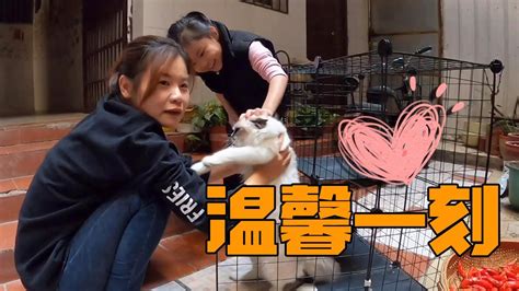 【eng Sub】青妹妹在外出差数十天，一回到家就陪女儿玩，浇花逗猫好温馨【青妹妹与小胖】 Youtube