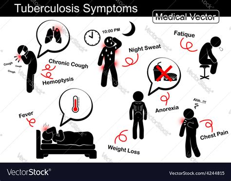 Tuberculosis symptoms Royalty Free Vector Image