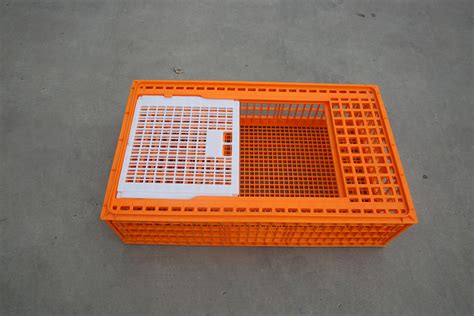 Poultry Duck Chick Box Chicken Transportation Cage/Crates – tianwanplastic