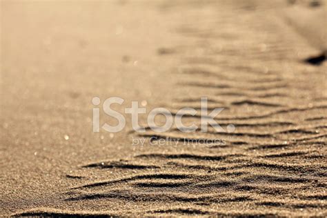 Desert Sand Texture Background Stock Photo | Royalty-Free | FreeImages