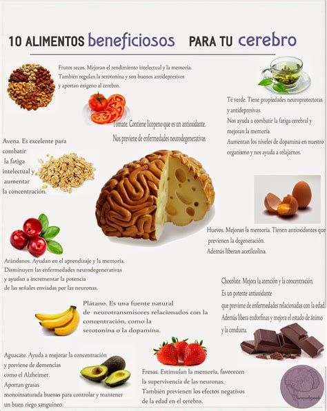 10 Alimentos Beneficiosos Para Tu Cerebro Neuropsicologueando