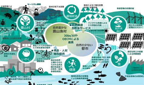 生物多様性の保全を目指す「30by30」とは？ 再生可能エネルギーは目標達成にどのように貢献できるか Hatch ｜自然電力のメディア