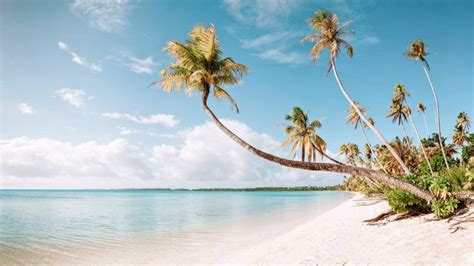 12 White Sand Beaches in the Caribbean You Will Love