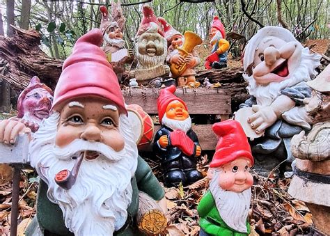 En forêt ce village de nains de jardin ne cesse de grandir