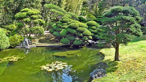 5 Tips to Make Your Garden More Peaceful | My Greenery Life