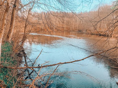 Jar Raduni Dzika Natura Na Kaszubach Gdzie W Polsce Na Weekend