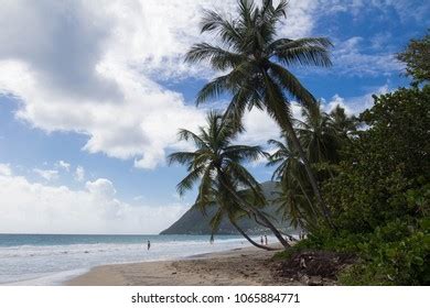 Caribbean Beach Martinique Island French West Stock Photo 1065884771 | Shutterstock