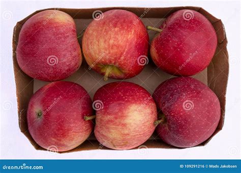 Seis Manzanas Rojas En Caja Foto De Archivo Imagen De Puro Planta