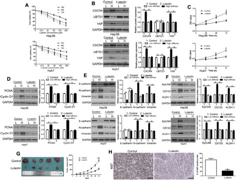 Luteolin Inhibits Matrix Stiffness Induced Cxcr Signaling Pathway And