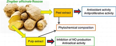 A Comparative Study Of Zingiber Officinale Roscoe Pulp And Peel