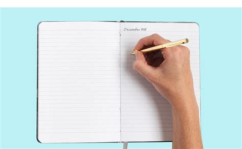 amazoncom beatrix luca college ruled notebook  journal lay