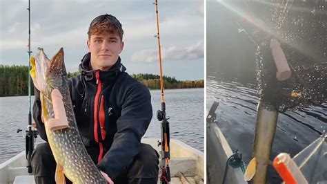 Använde dildo som lockbete fångade 4 5 kilo tung gädda Kanske köpe Efter fem TV4 TV4