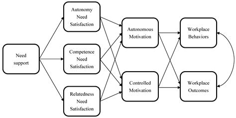 Behavioral Sciences Free Full Text Self Determination Theory And