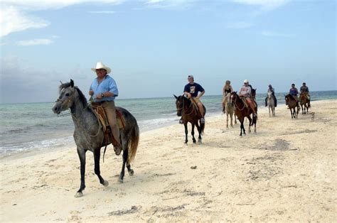 Cozumel Jungle Horseback Riding Jeep Riders Cozumel Tour