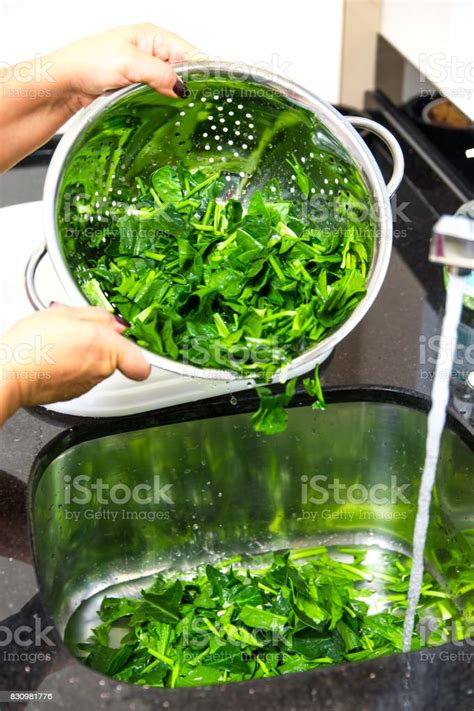 Spinach The Legend Of The High Iron Content Stock Photo - Download Image Now - Adult, Adults ...