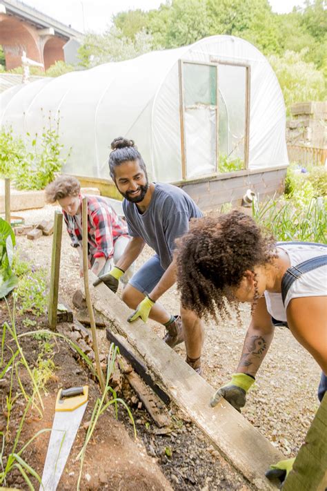 Best Way To Start A Local Community Garden Artofit