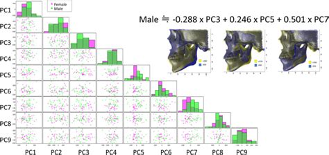 Morphologic Variations In The Craniofacial Structures In Japanese