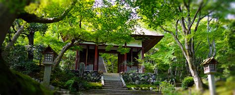 jojakko ji temple  japan