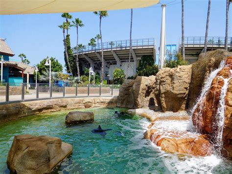 Behind The Thrills Seaworld San Diego What To Know Before You Go