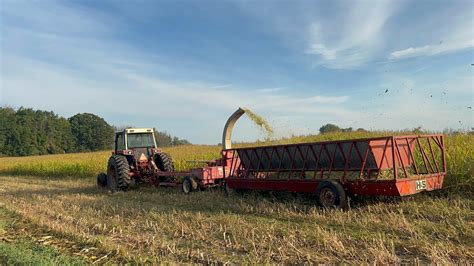 Starting Corn Silage YouTube