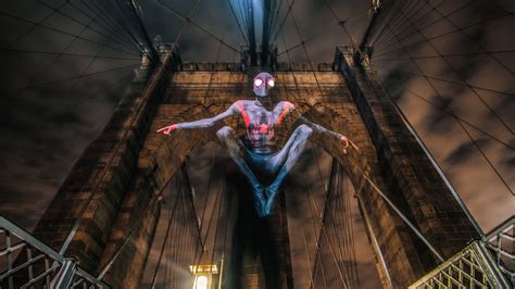 Spider Miles Morales Cosplay 4k superheroes wallpapers, spiderman into the spider verse ...