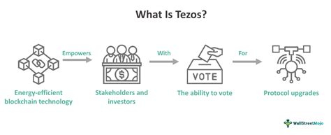 Tezos What It Is History Examples Pros Cons Vs Cardano