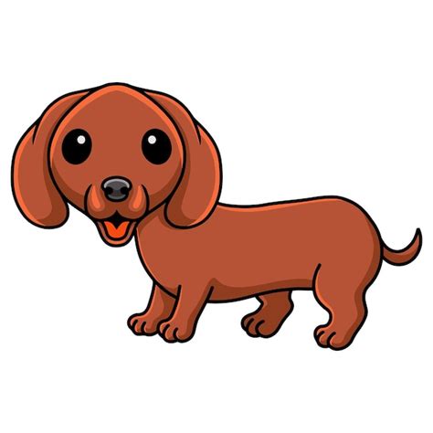 Lindo Perro Salchicha De Dibujos Animados Posando Vector Premium