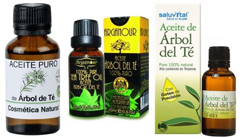 Aceite de Árbol de té para qué sirve beneficios peligros y efectos