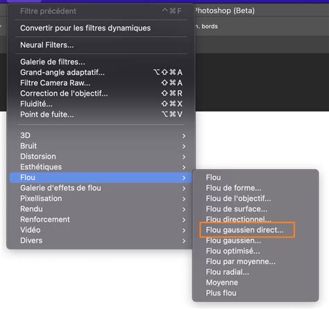 Utilisation De La Galerie Des Effets De Flou Dans Photoshop