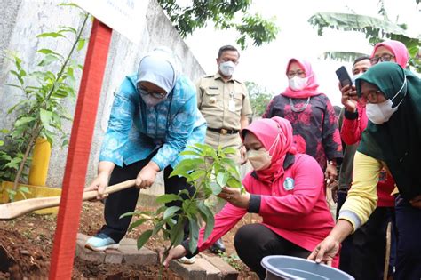 Ketua TP PKK DKI Fery Farhati Kelas Berkebun Jaksel Jadi Inspirasi