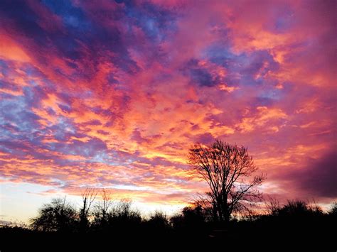 Bridgwater holiday rentals: houses & more | Vrbo