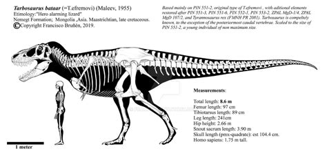 Tarbosaurus bataar PIN 551-2 skeletal diagram. by Franoys on DeviantArt ...