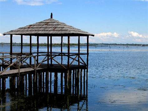 Rosolina Mare In Bicicletta Sul Delta Del Po Laguna Di Caleri