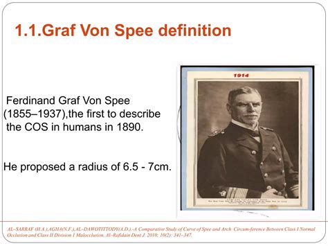 curve of spee and wilson 7