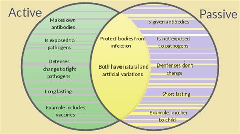 Active Vs Passive Transport Venn Diagram