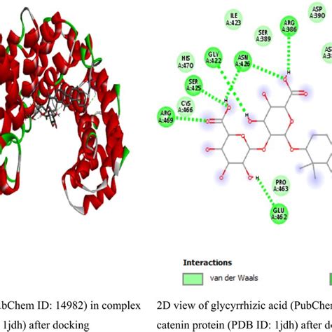 The 2d View Of β‐catenin Protein Interactions With Solanine After