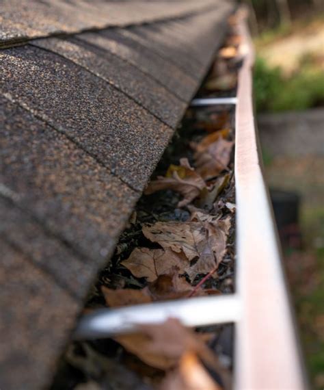 Gutter Cleaning Cincinnati OH Brothers Gutters