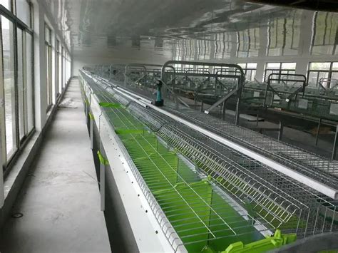 Automatic Rabbit Farming Equipment - Buy Rabbit Farming Equipment Product on Alibaba.com