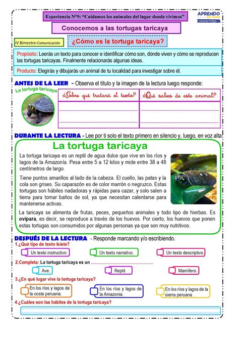 Plan Lector La Tortuga Antes De La Leer Observa El T Tulo Y La