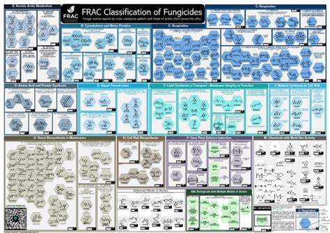 Frac Moa Poster 2024 | PDF | Biosynthesis | Adenosine Triphosphate