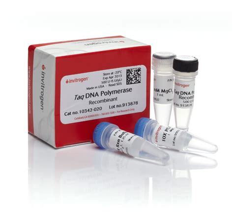 Taq DNA Polymerase Recombinant Thermo Fisher Scientific