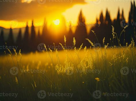 Ai Generated Abstract Soft Focus Sunset Field Landscape Of Yellow Flowers And Grass Meadow Warm