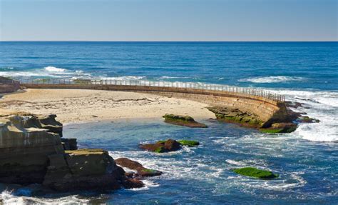 Shell Beach in La Jolla, CA - California Beaches