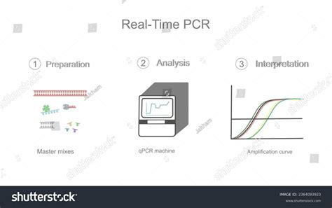 Pcr Steps