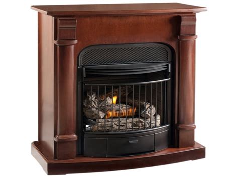 Vent Free Natural Gas Fireplace With Blower Fireplace Ideas