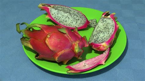 Dragonfruit Drachenfrucht Test Essen YouTube