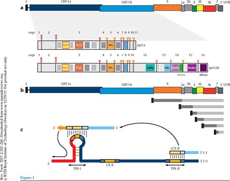 RNA chemical synthesis | Semantic Scholar