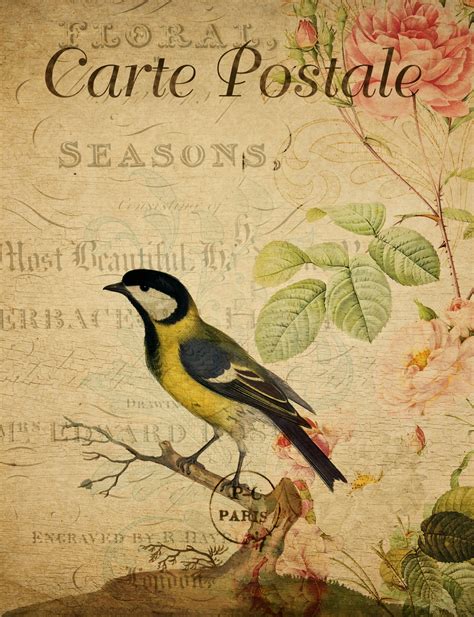 Bird Vintage Floral Postcard Free Stock Photo Public Domain Pictures