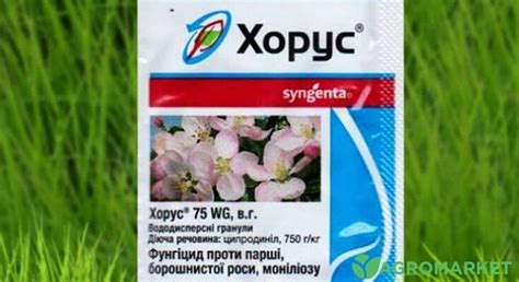 Особенности применения препарата Хорус - Agro-Market
