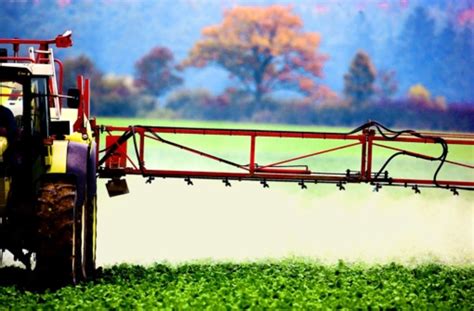 Herbizide Wie gefährlich ist Glyphosat Wissen Stuttgarter Zeitung